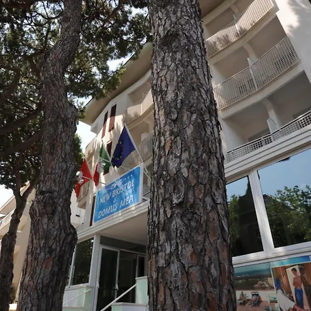 Domus Mea