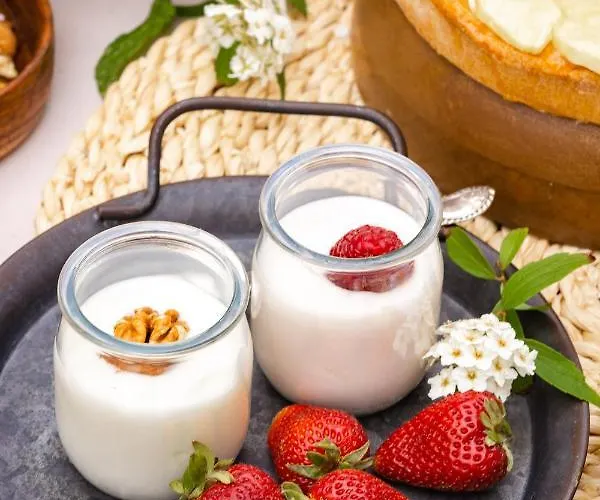 Domus Mea 3* צ'סנטיקו